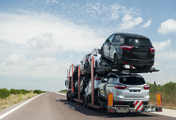 Interstate Vehicle Transport